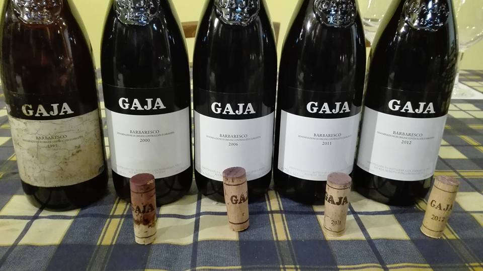 barbaresco gaja verticale