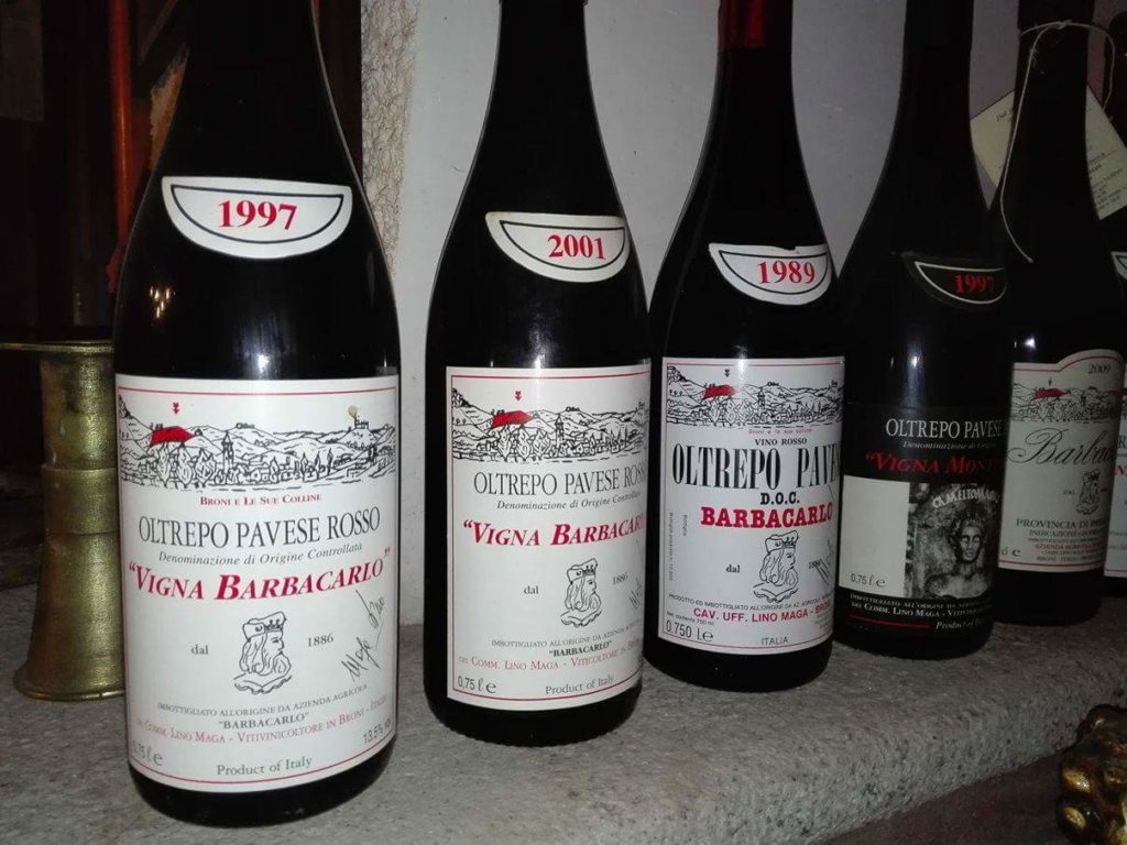 barbacarlo vino lino maga intervista