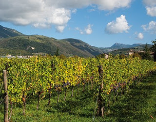 amarone2Bevento2Bconsorzio2Bvalpolicella2B252822529 1