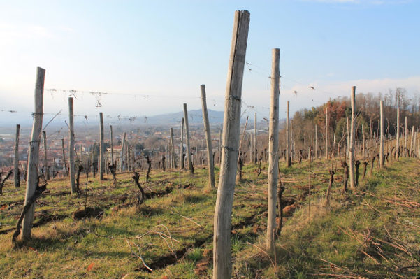 cantina Antichi Vigneti di Cantalupo Ghemme Alberto Arlunno visita degustazione vini Piemonte 3 e1463910597154