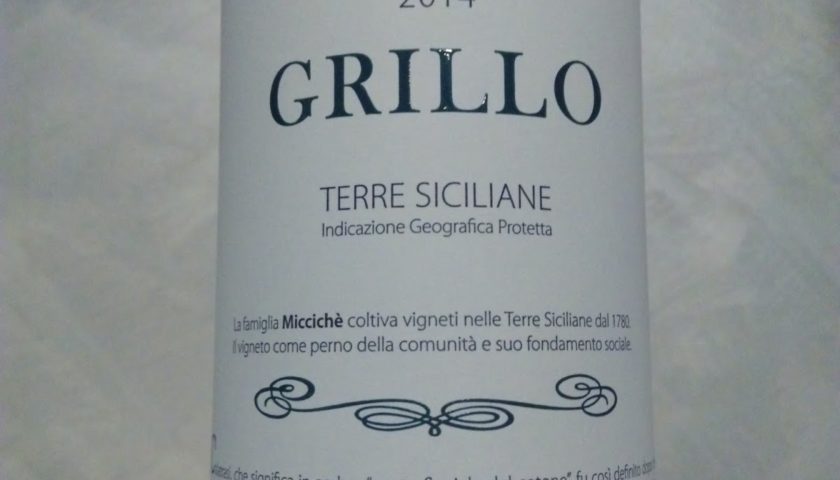 Grillo2Bvino2Bbiologico2BCalatrasi2Be2BMiccich25C325A82B20142BTerre2BSiciliane2BIgt 1