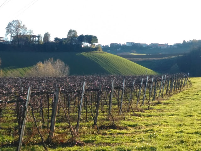 Lombardia2Bvino2BVinitaly2B20162Bdati2Bedizione2B502BVerona2BConsorzi 1