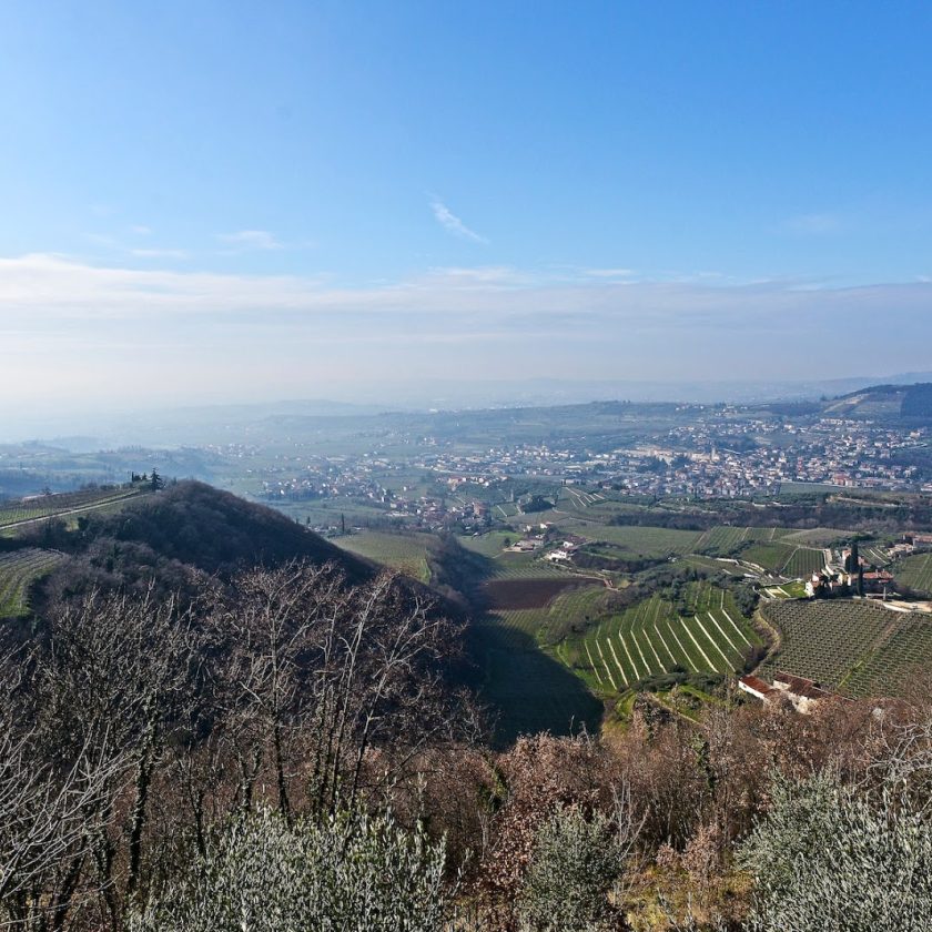 Valpolicella Inverno CantinaValpolicellaNegrar 1