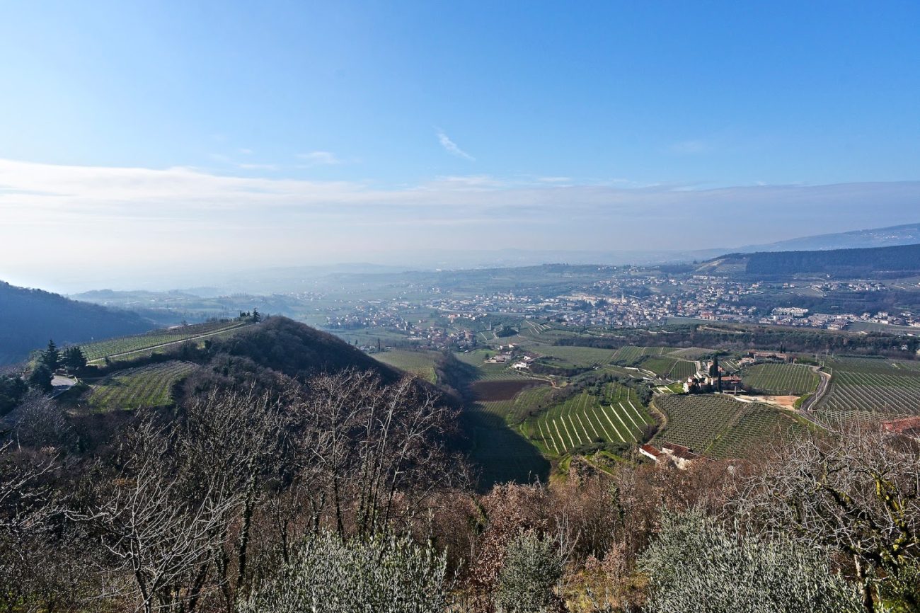 Valpolicella Inverno CantinaValpolicellaNegrar 1