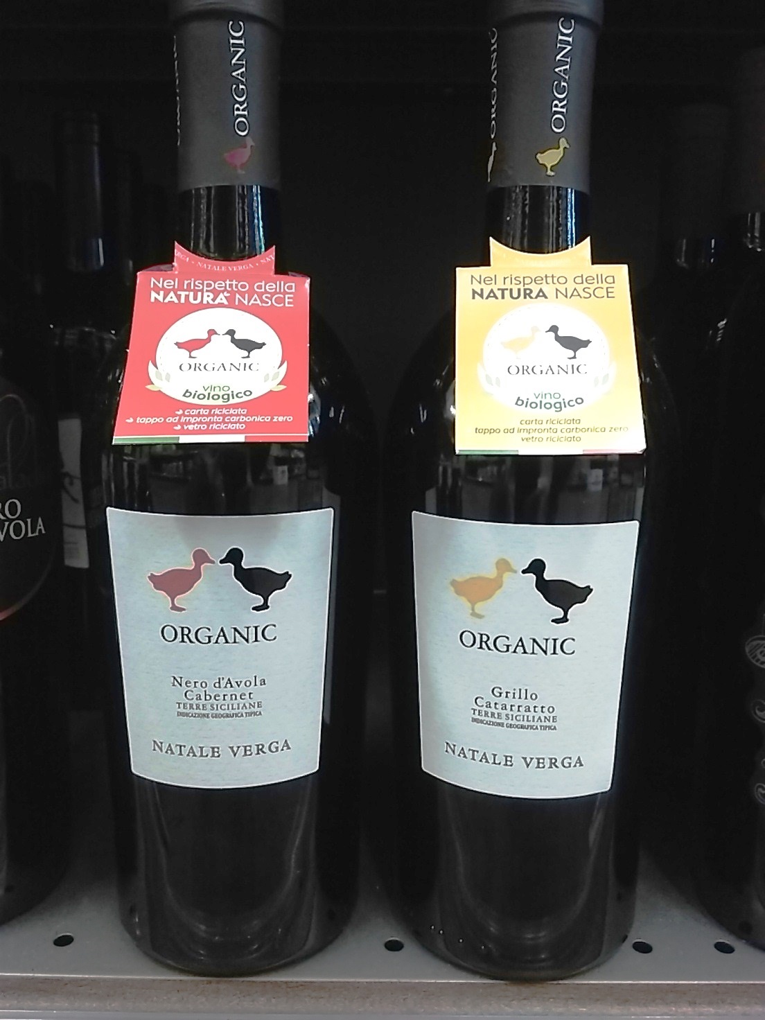 Natale Verga entra nel mercato del vino biologico. In Nord Europa è già un successo Natale Verga entra nel mercato del vino biologico. In Nord Europa è già un successo