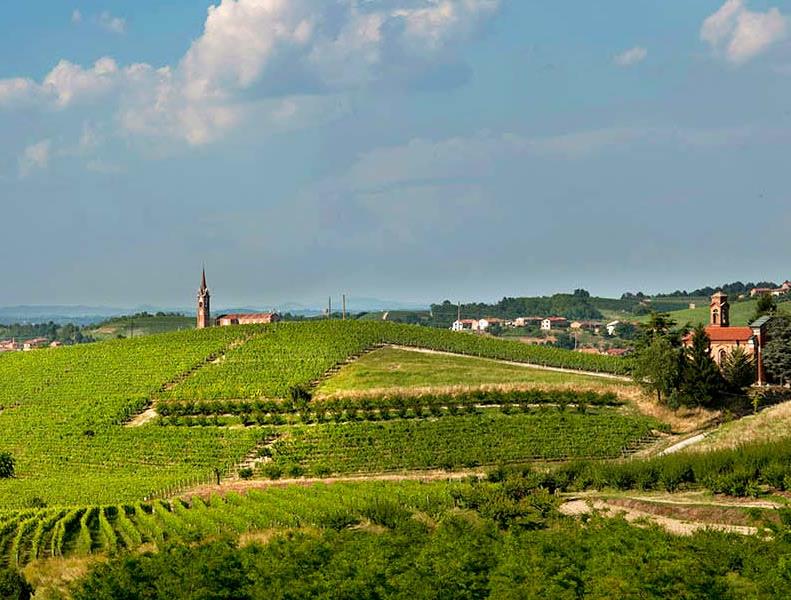 territorio roero