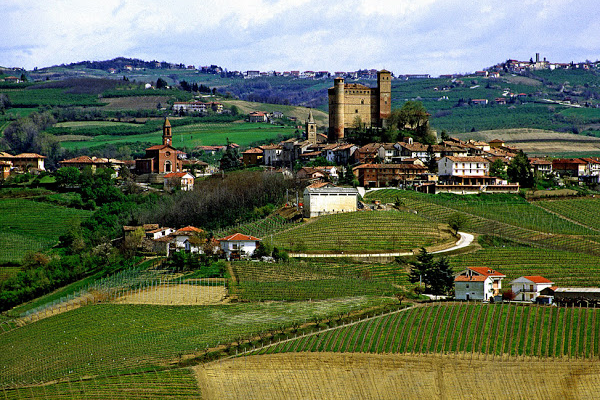Unottima annata per i vini piemontesi e1464278252758