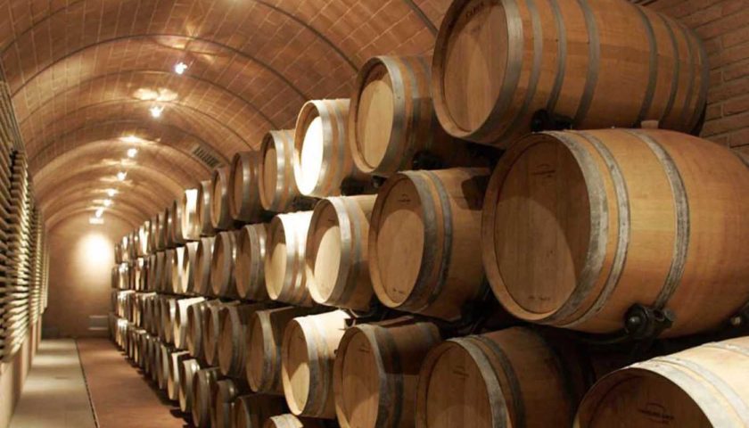 vino botti ocm paesi terzi