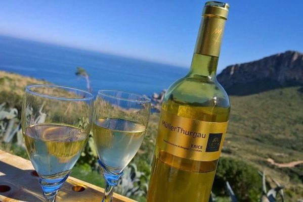 Fazio Wines vino Erice Doc concorso e1466801778701