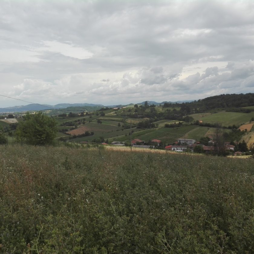 Quatar Pass per Timurass Slow Food 10 scaled