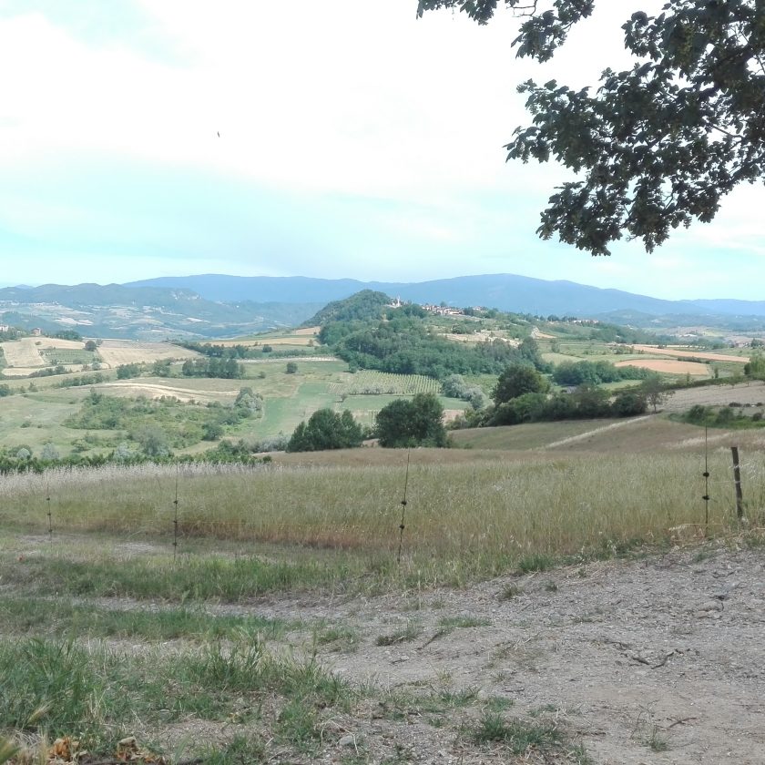 Quatar Pass per Timurass Slow Food 30 scaled