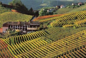 colline chiantigiane 300x201