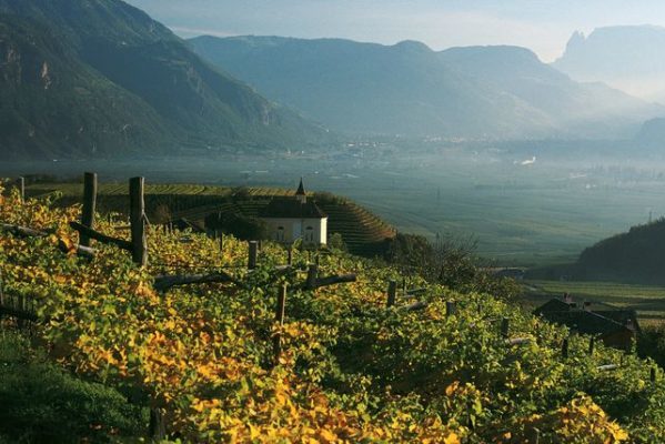 strada del vino dell alto adige 2 e1464902996317