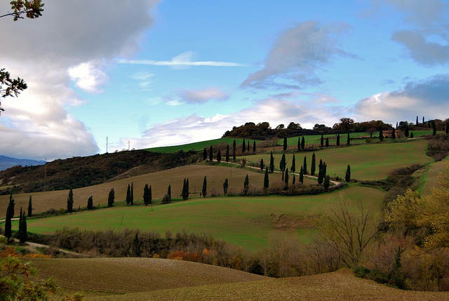 val d orcia belvedere