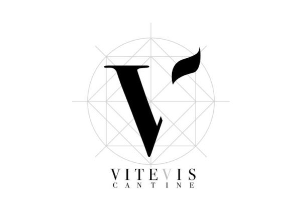 vitevis e1467316361546