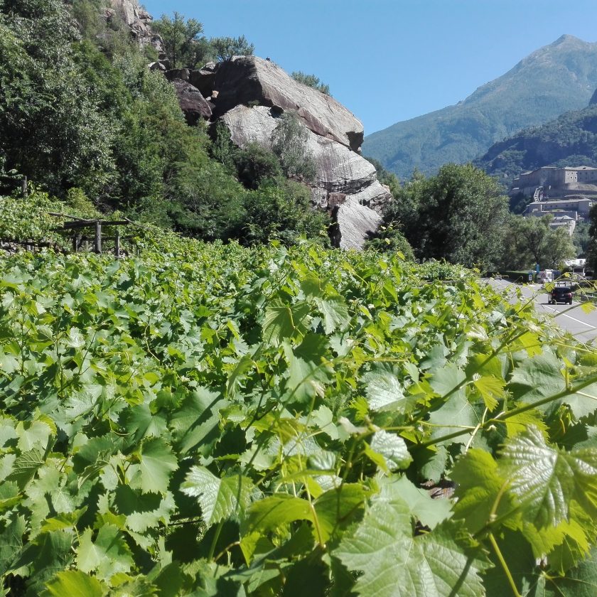 Cooperativa La Kiuva vino Arnad Valle dAosta 1 scaled