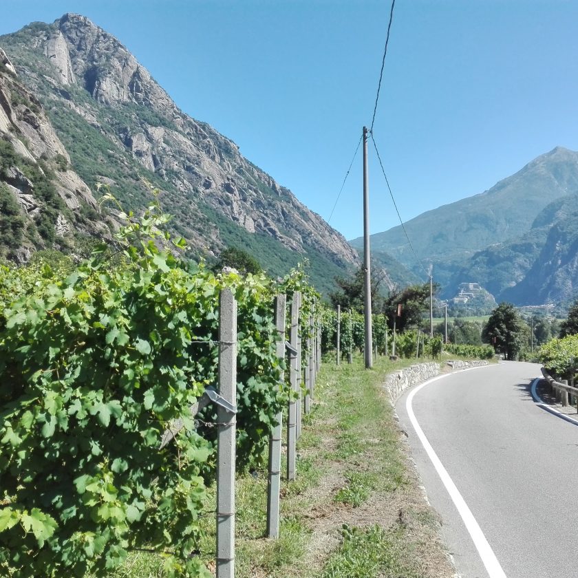 Cooperativa La Kiuva vino Arnad Valle dAosta 5 scaled