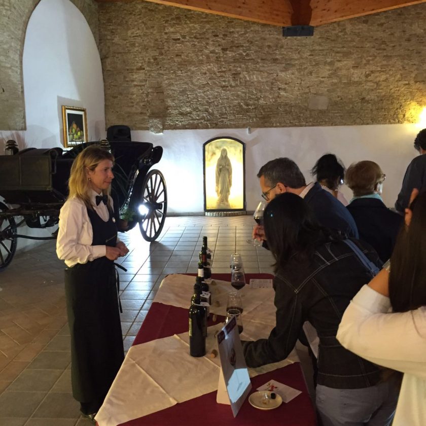 Lucera calici di stelle 2016 13