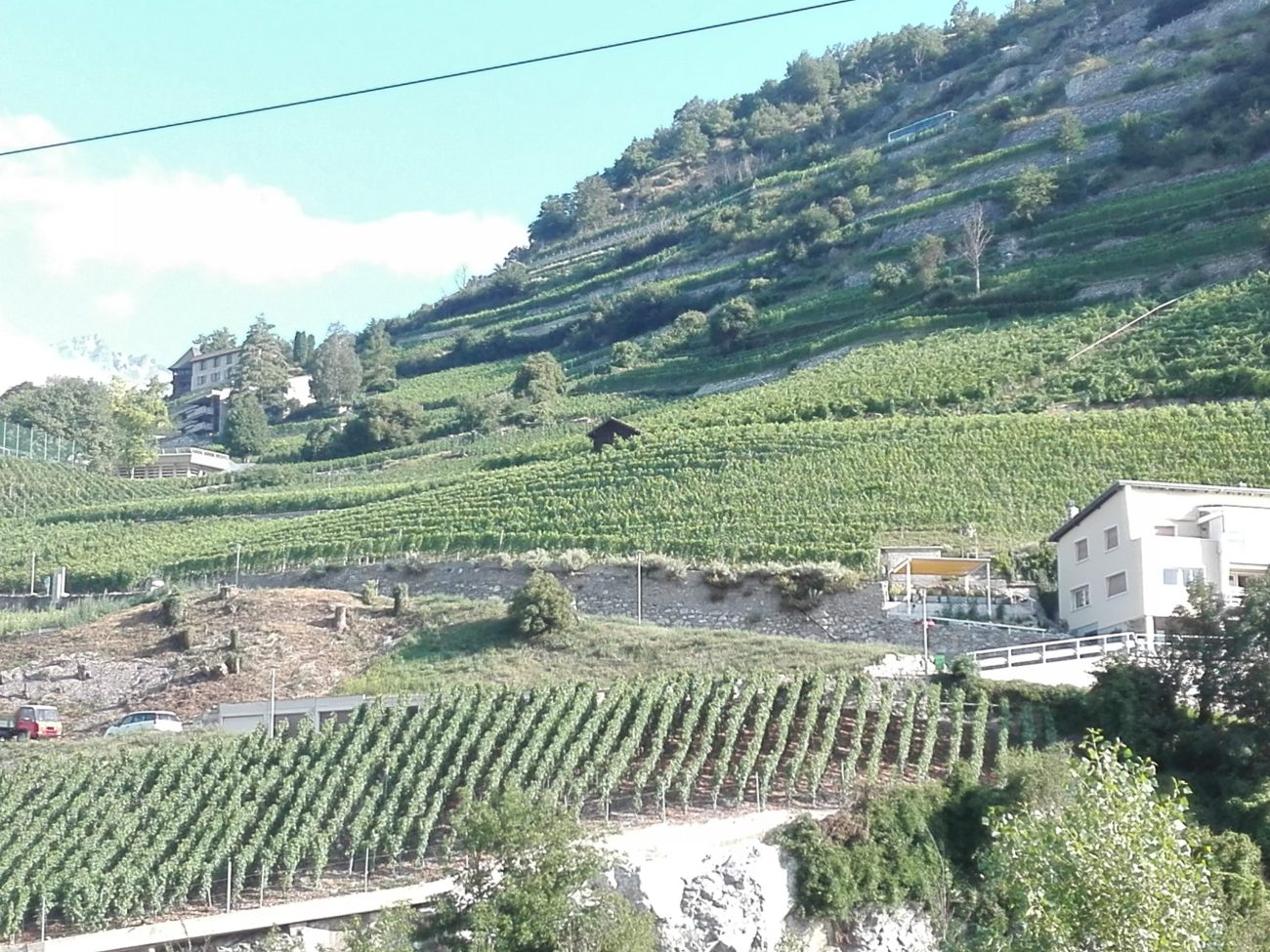 Svizzera wine tour swiss vino Valais Vaud Geneve cantine Vallese Ginevra visita 1 scaled