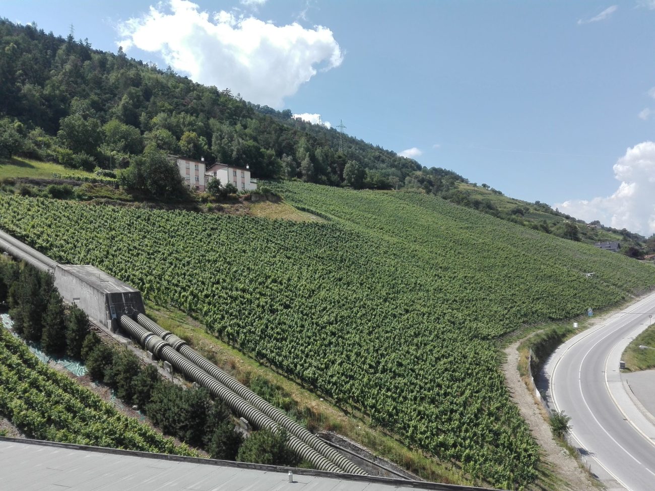 Svizzera wine tour swiss vino Valais Vaud Geneve cantine Vallese Ginevra visita 63 scaled