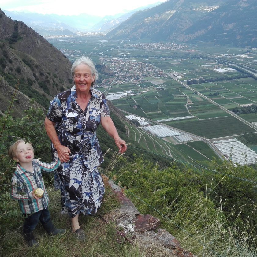 Svizzera wine tour swiss vino Valais Vaud Geneve cantine Vallese Ginevra visita 81 scaled