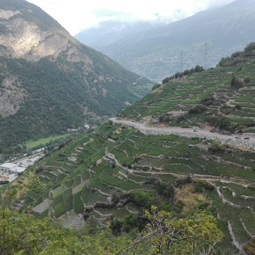 Svizzera wine tour swiss vino Valais Vaud Geneve cantine Vallese Ginevra visita 9 scaled