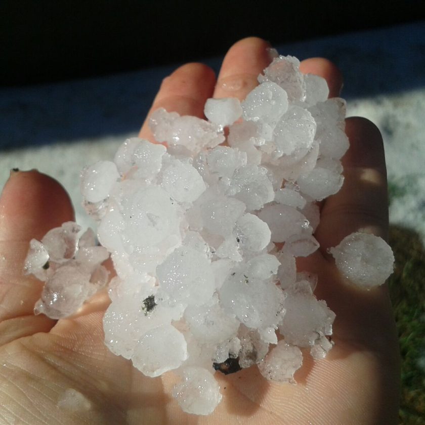 maltempo grandine lodi coldiretti 1