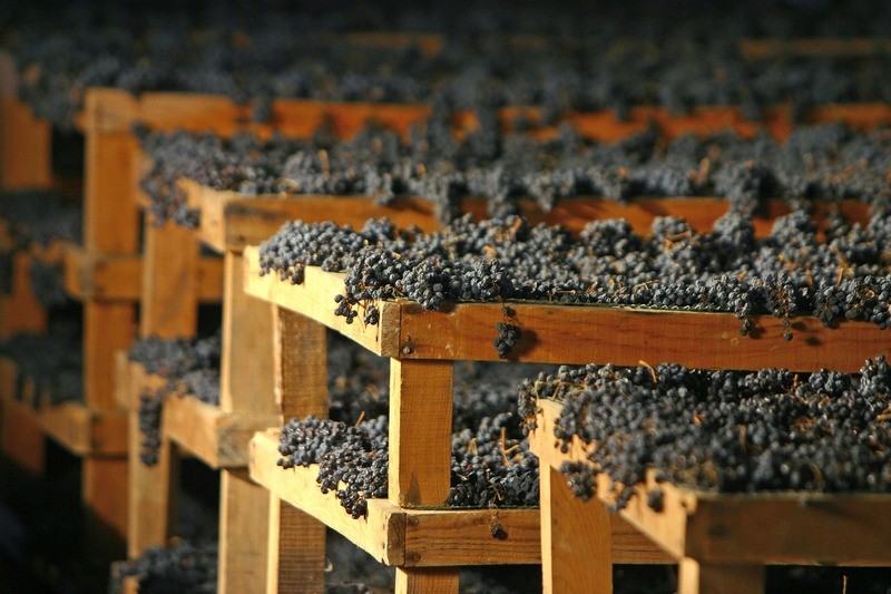 amarone graticci appassimento uve scissione consorzio valpolicella classico 1