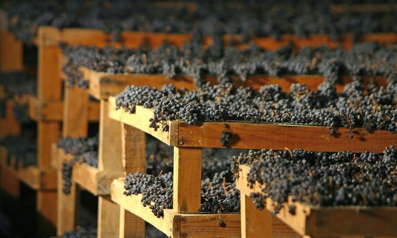 amarone graticci appassimento uve scissione consorzio valpolicella classico 2