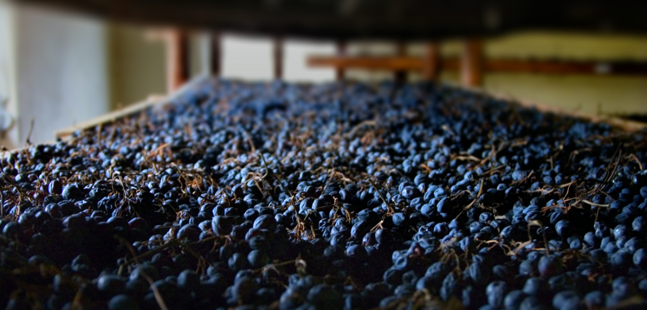 amarone percentuale uve consorzio vini valpolicella