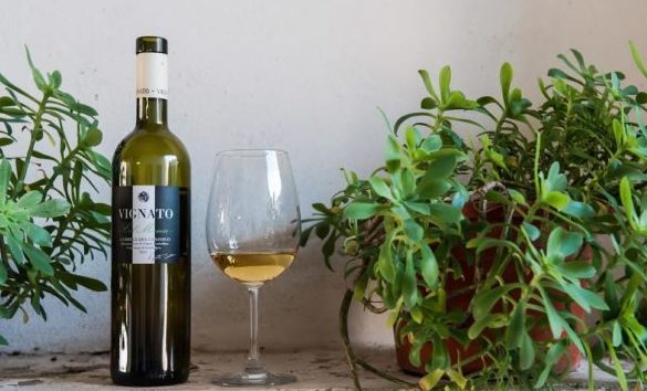 davide vignato col moenia e1474822810975