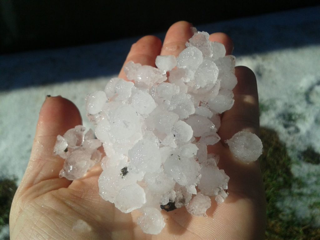 maltempo grandine lodi coldiretti 1024x768 3