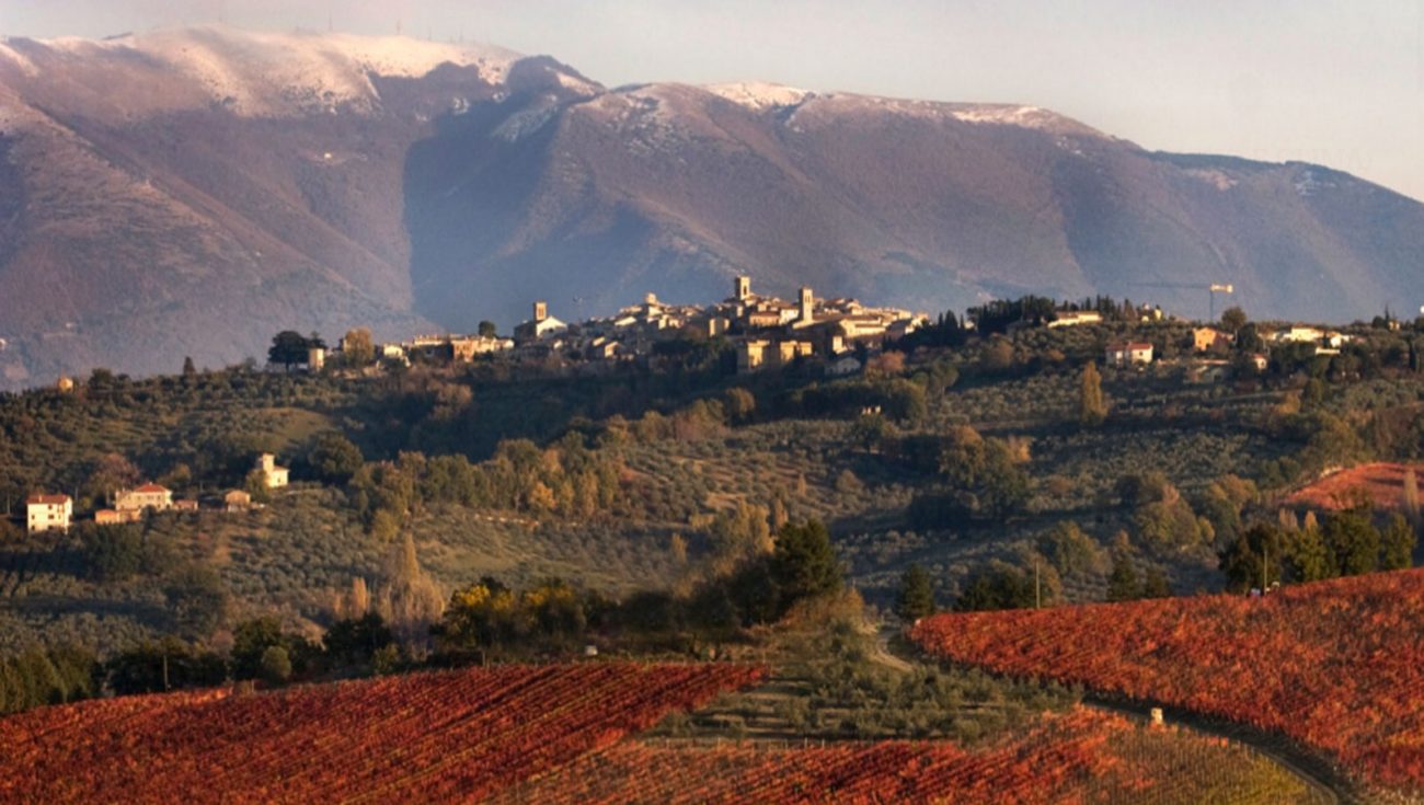 montefalco sagrantino vino umbria