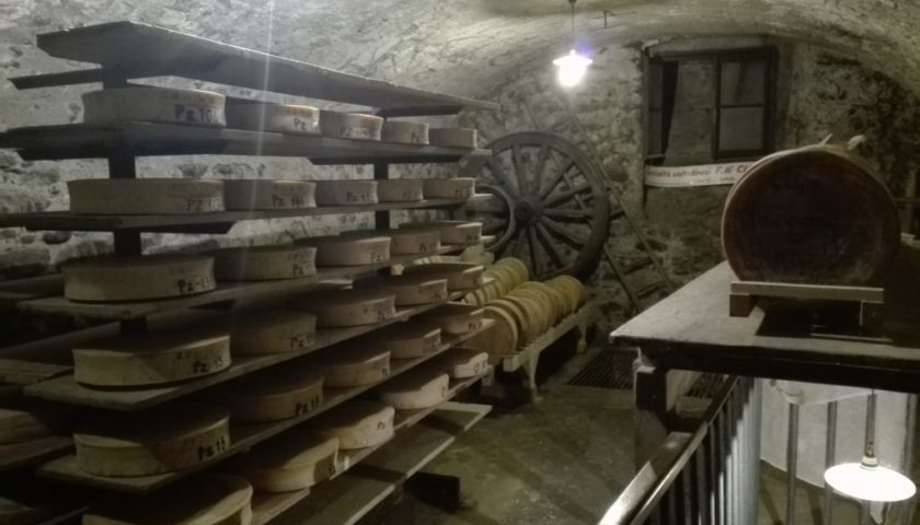 Morbegno in cantina vino bitto valtellina 17 1024x768