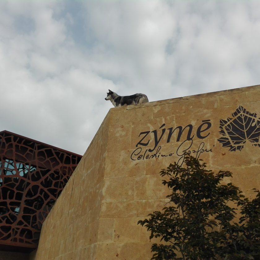 Zyme Valpolicella vino Celestino Gaspari 1 scaled