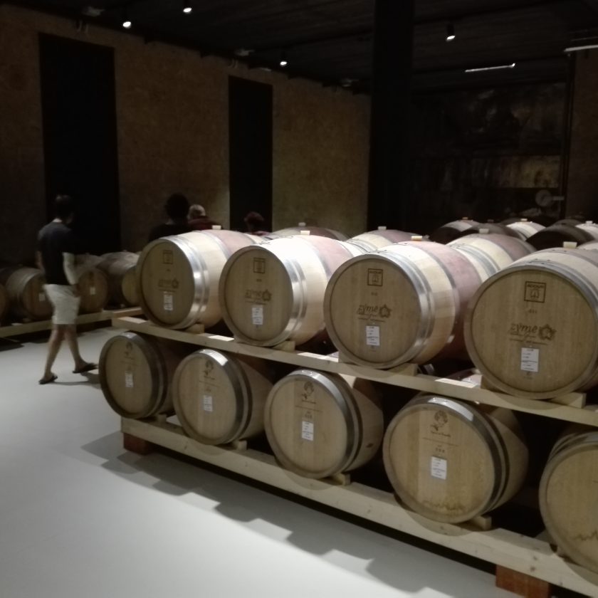 Zyme Valpolicella vino Celestino Gaspari 4 scaled