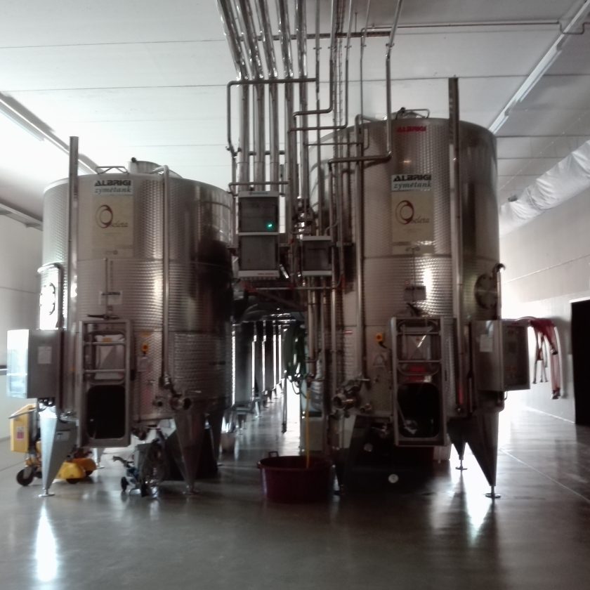 Zyme Valpolicella vino Celestino Gaspari 8 scaled