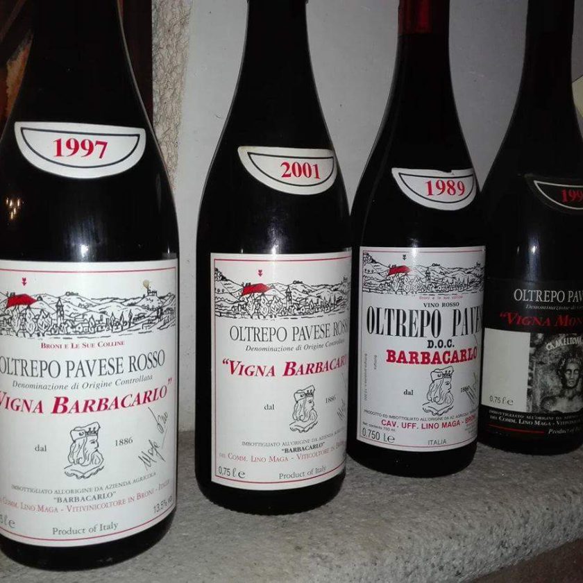 barbacarlo vino lino maga intervista