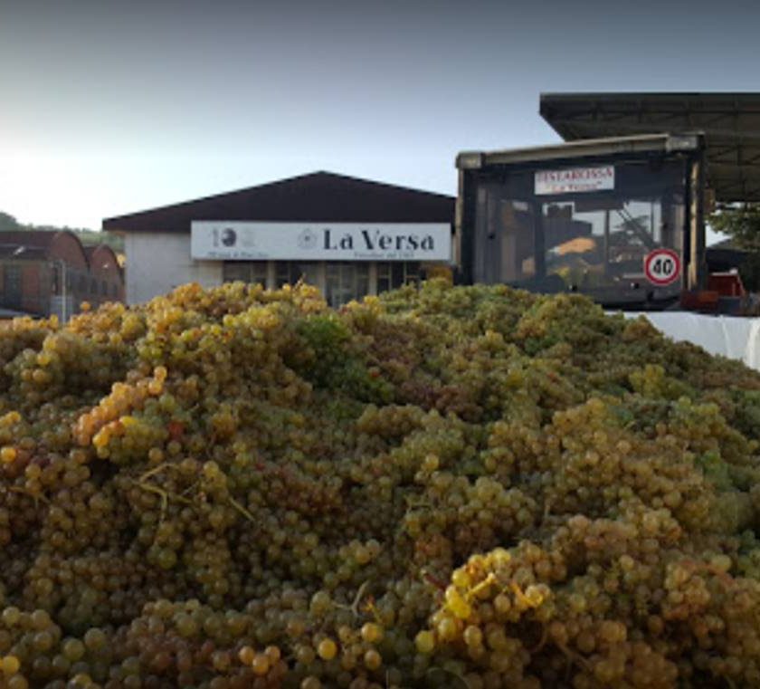 cantina la versa fallimento asta giv cavit oltrepo pavese