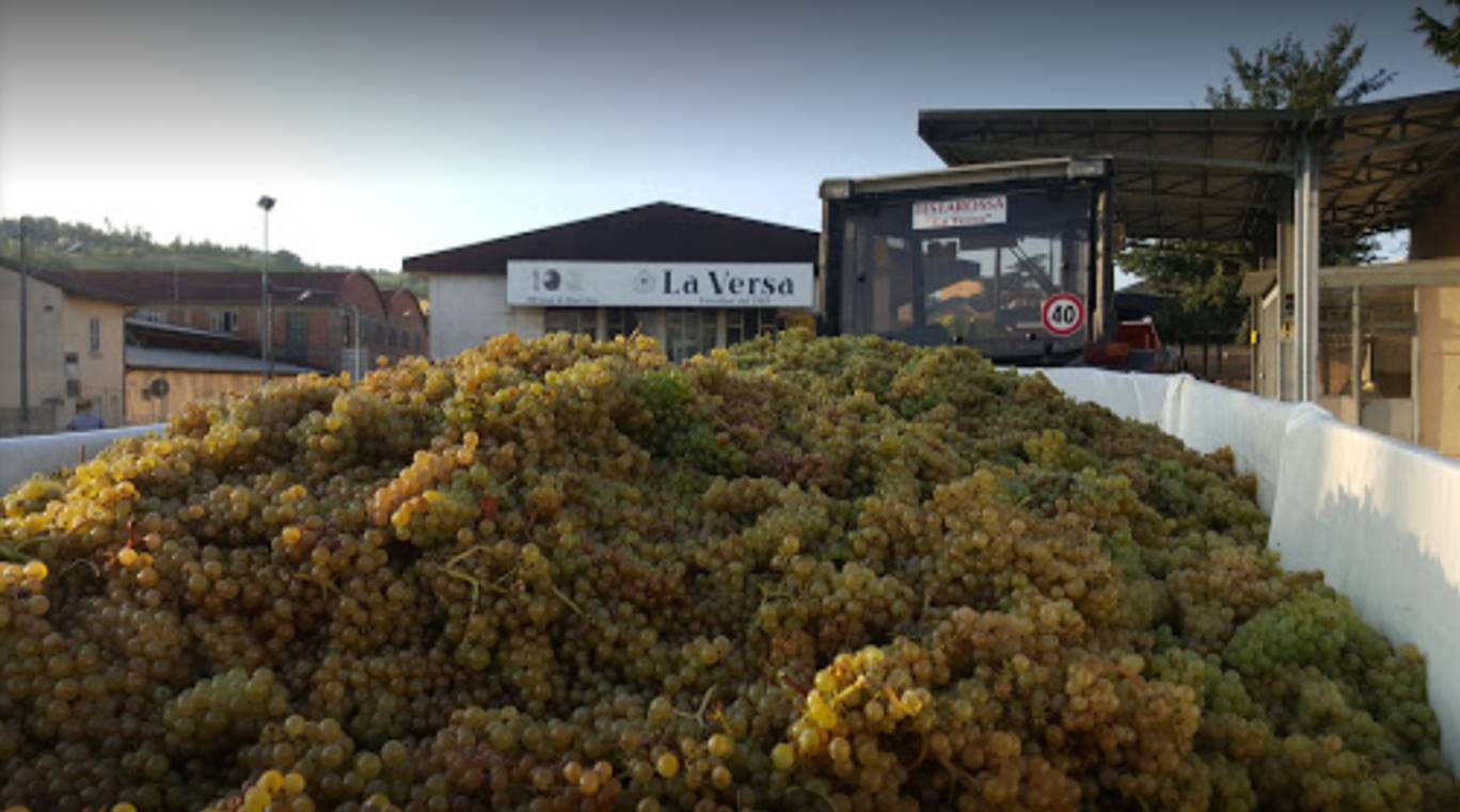 cantina la versa fallimento asta giv cavit oltrepo pavese