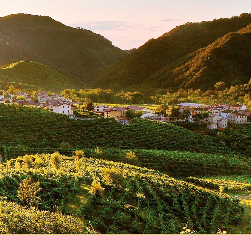 futuro viticoltura convegno 50 anni strada prosecco 1