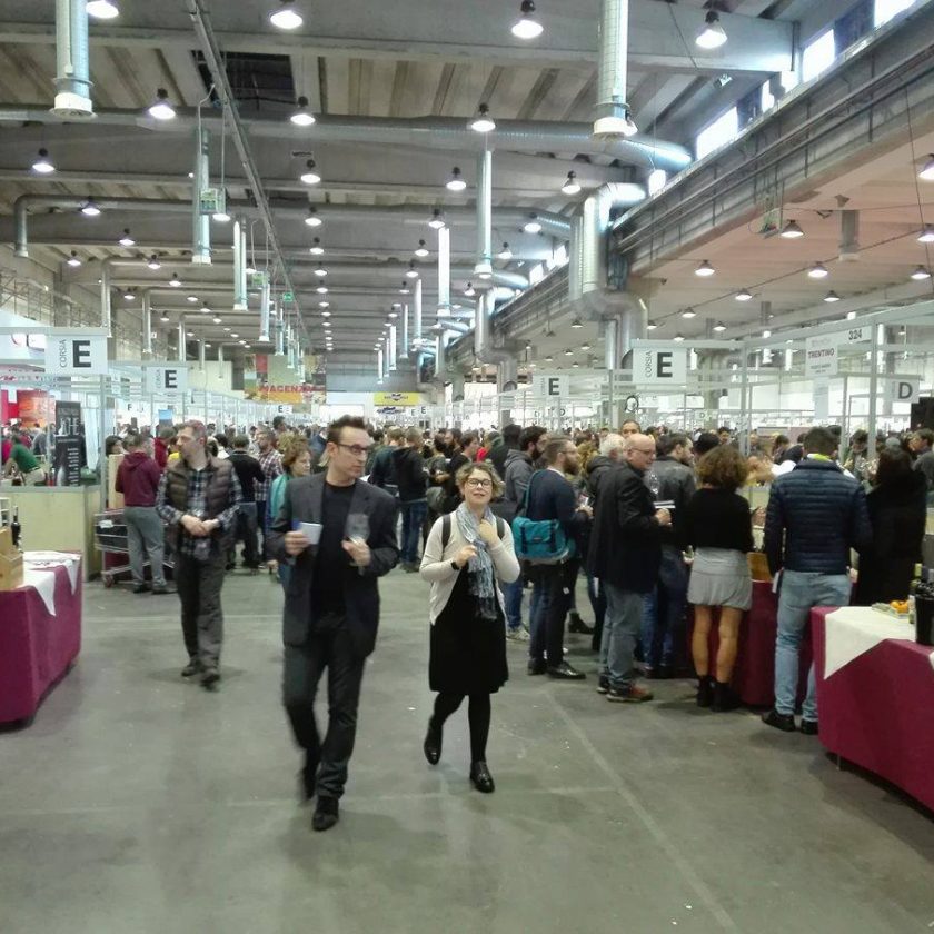 mercato vini fivi piacenza 2016 vino 19