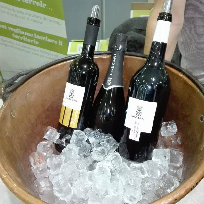 mercato vini fivi piacenza 2016 vino 8