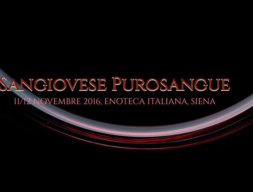 sangiovese purosangue siena 2016 1