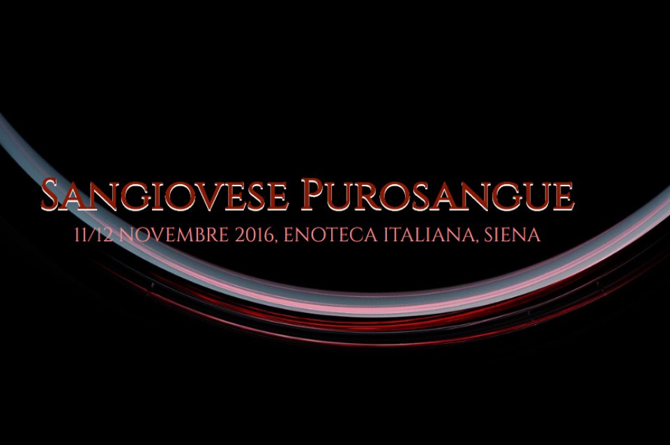 sangiovese purosangue siena 2016 1
