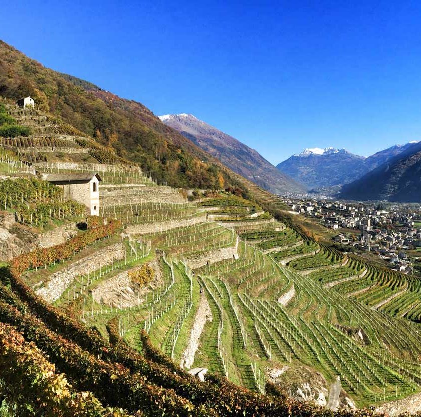 valtellina wine trail