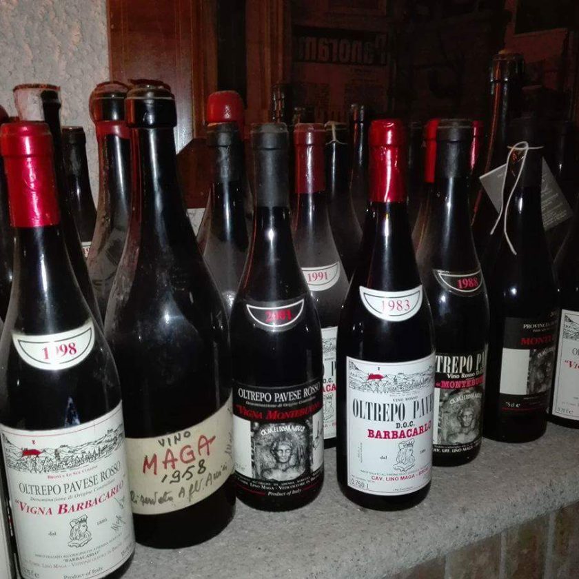 vino mito barbacarlo lino maga oltrepo