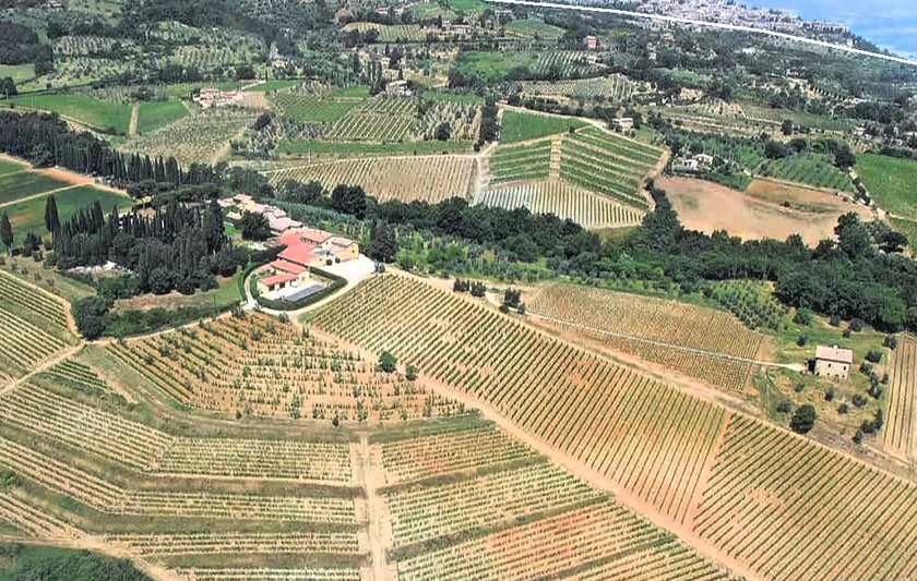 biondi santi brunello venduto epi descours
