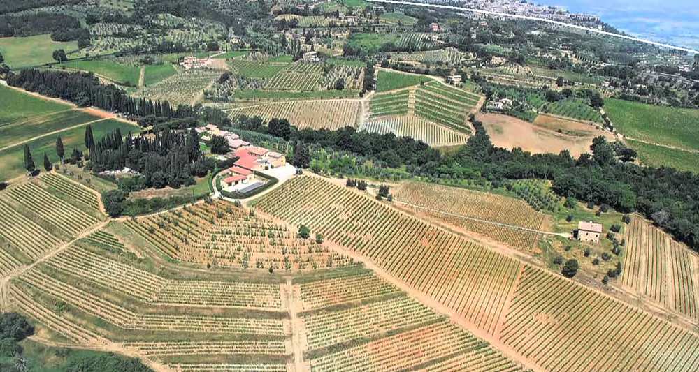 biondi santi brunello venduto epi descours