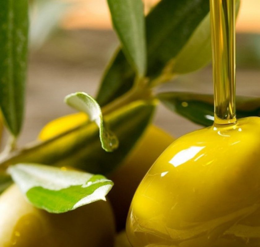 mto olio